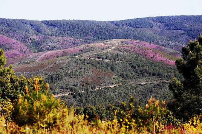 paisagem da reserva natural da serra da malcata