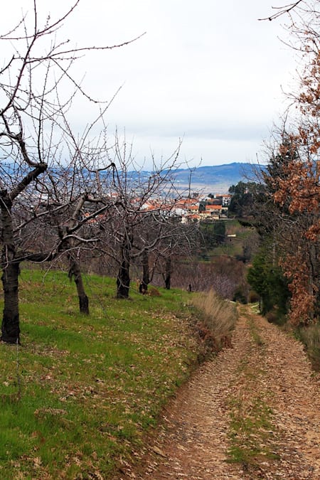 Estradão a caminho da aldeia Vale de Prazeres. Rota da Portela da Gardunha.