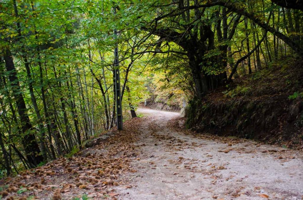 Os passeios de bicicleta num trilho BTT ou pela aldeia são um convite ao exercício físico em plena Natureza.