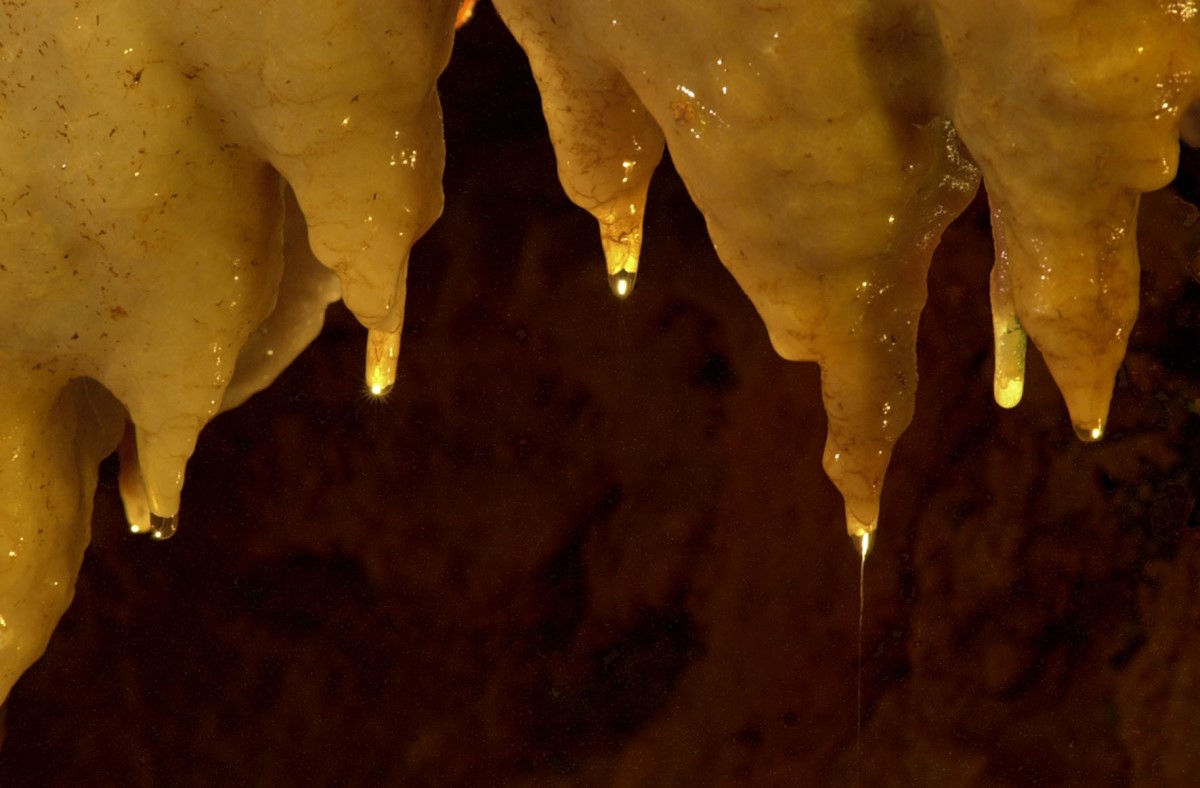 Estalactites das Grutas da Moeda.