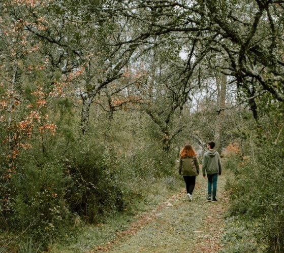 Fazer caminadas na natureza é bom para a saúde