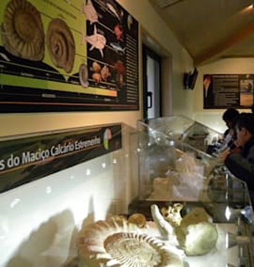 Centro de Interpretação Científico-Ambiental das Grutas da Moeda