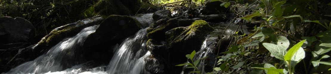 Serra da Lousã