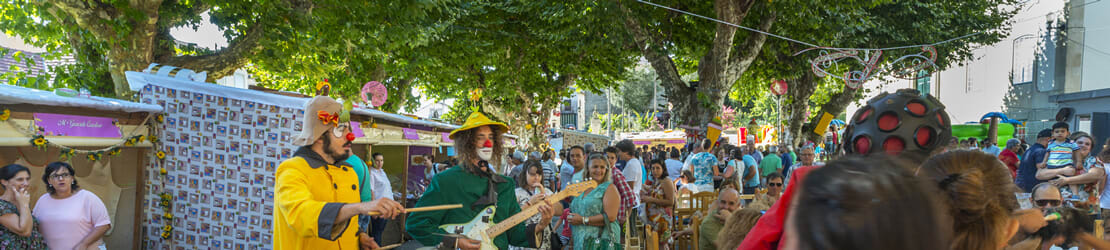 Festas Vouzela, Vouga Caramulo