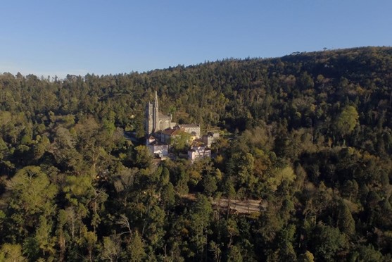 Mata Nacional do Bussaco