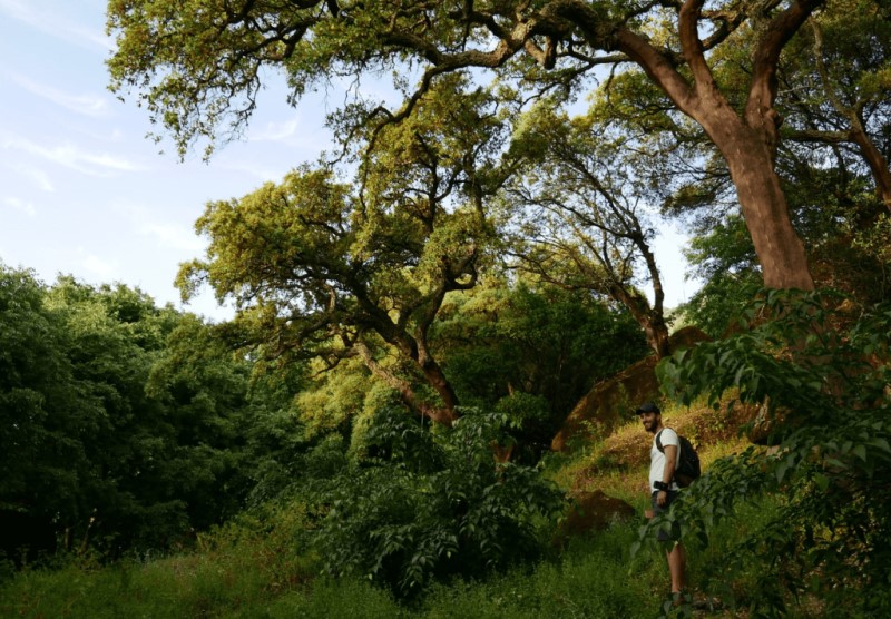 Banhos de Floresta da Serra da Malcata