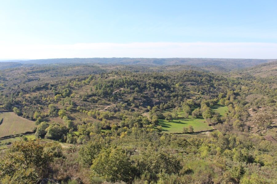 Paisagem do Grande Vale do Côa