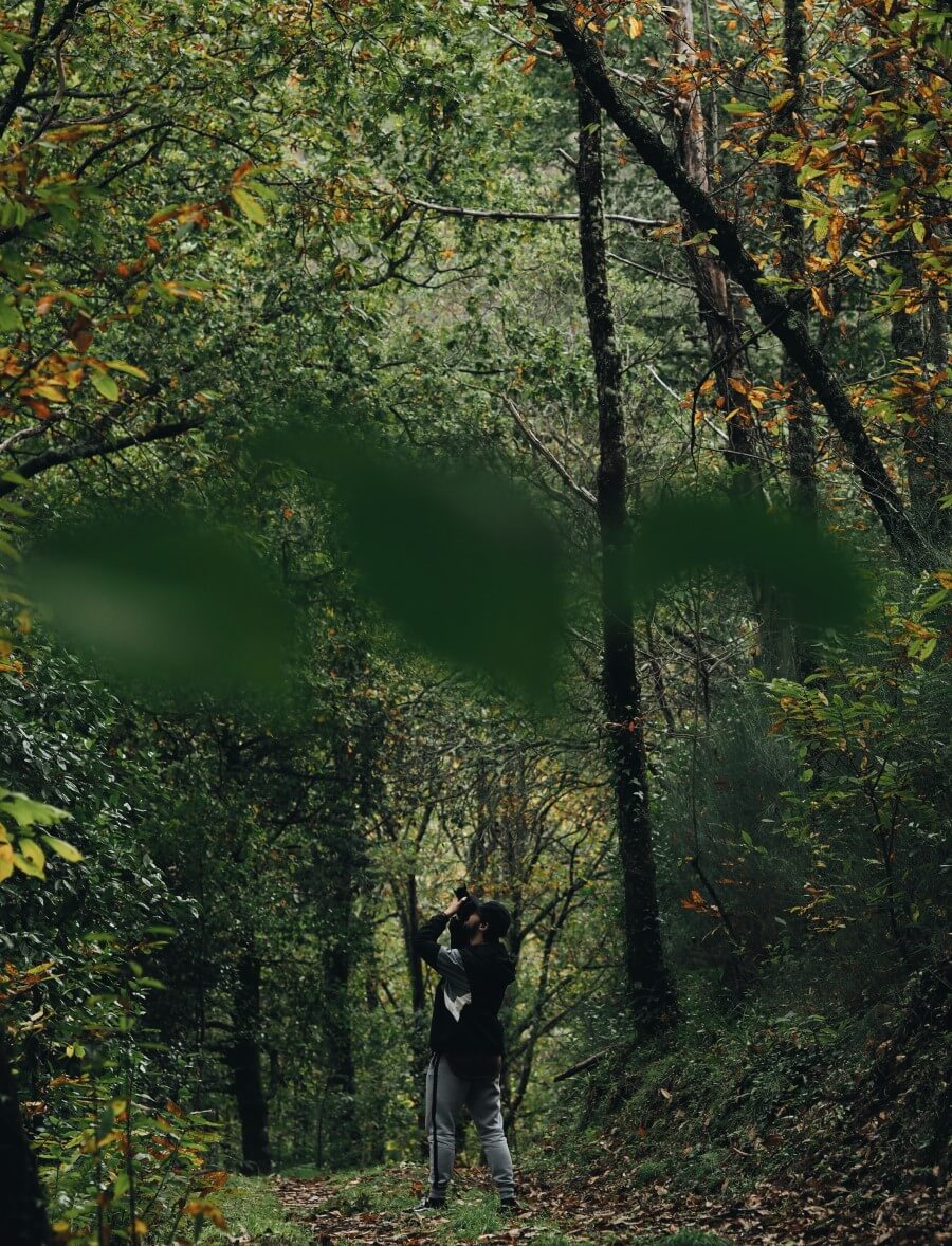 Homem a fotografar na Mata da Margaraça