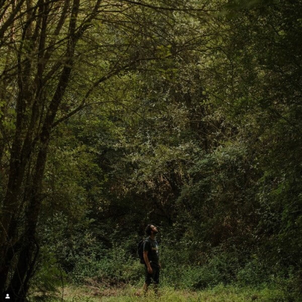 Homem a passear numa floresta densa