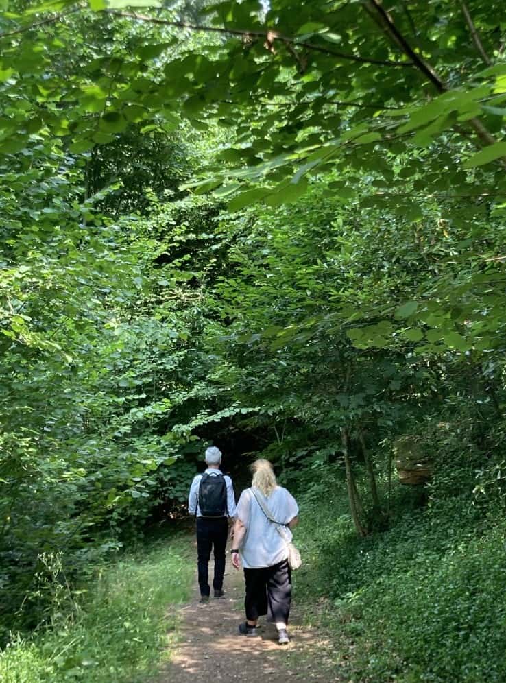 casal a passear na floresta