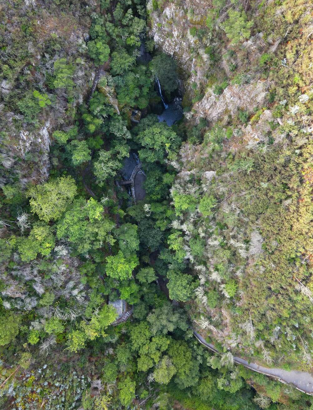 fotografia aérea do percurso interpretativo da Mata da Margaraça