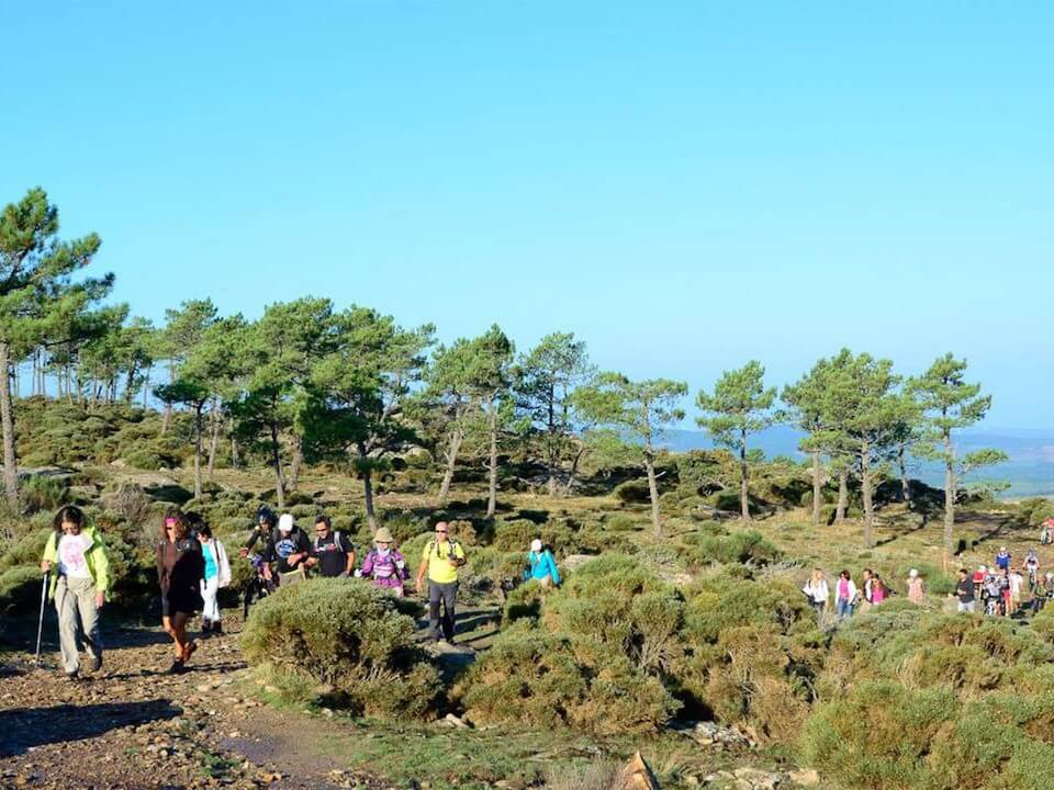 grupo de pessoas a fazer uma caminhada na natureza