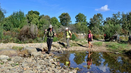 pessoas a caminhar na floresta ao pé de um lago