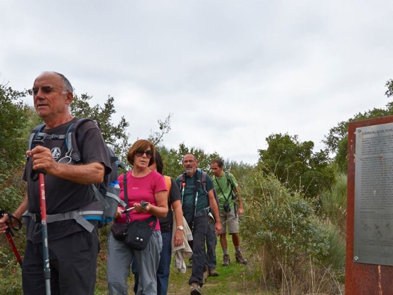 conjunto de pessoas a fazer uma caminhada na floresta