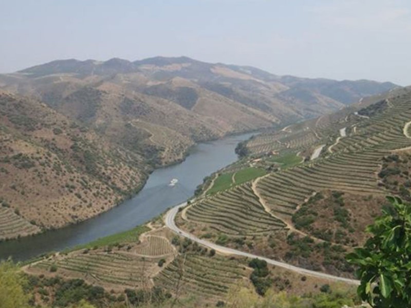 vista para o rio douro