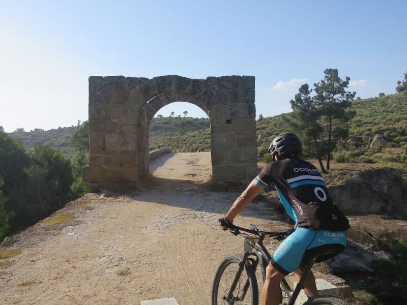 praticante de btt numa estrada de terra batida