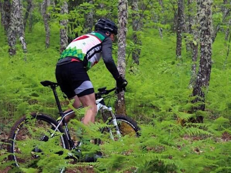 homem de bicicleta numa floresta