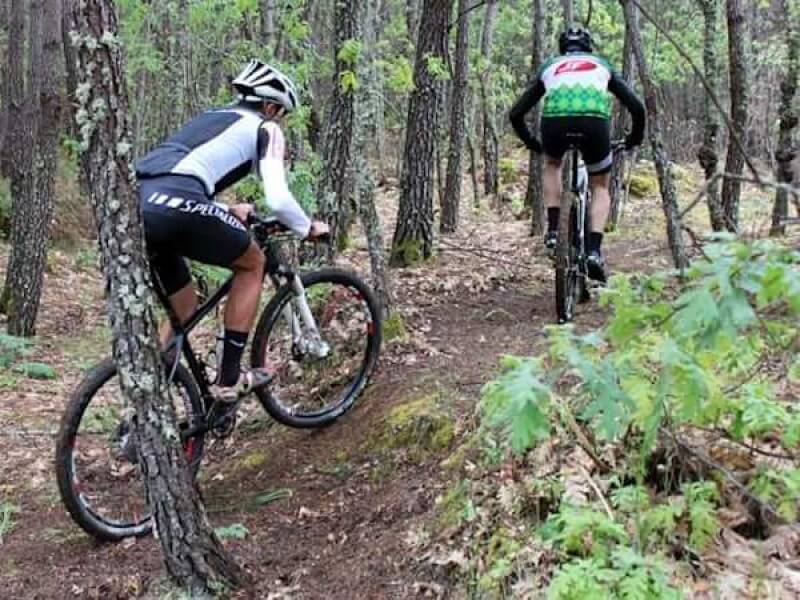 dois ciclistas num sinuoso percruso pela floresta