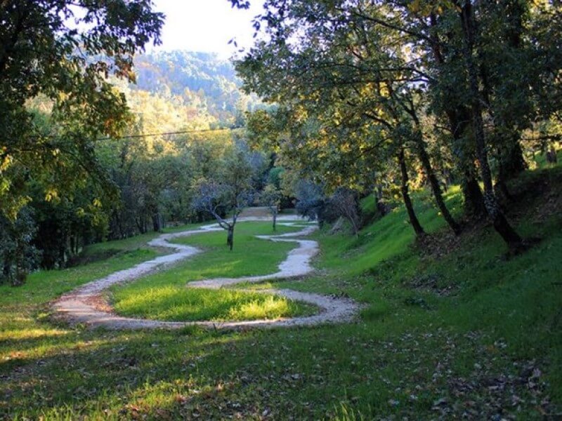 percurso de btt numa floresta