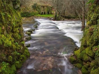 ribeira com água a correr