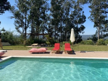 espreguiçadeiras à beira de uma piscina rodeada por árvores