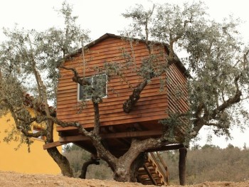 casa da árvore na quinta do limite, agroturismo