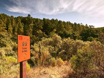 sinal de percurso pedestre na floresta