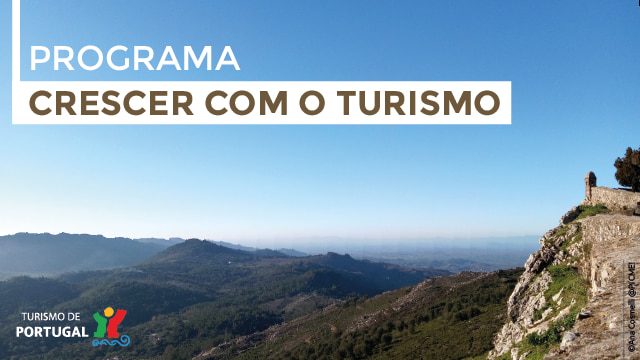 Apoio a projetos inovadores e sustentáveis.